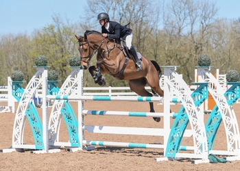 Oliver Tuff claims top spot in SEIB Winter Novice Qualifier at Chard Equestrian
